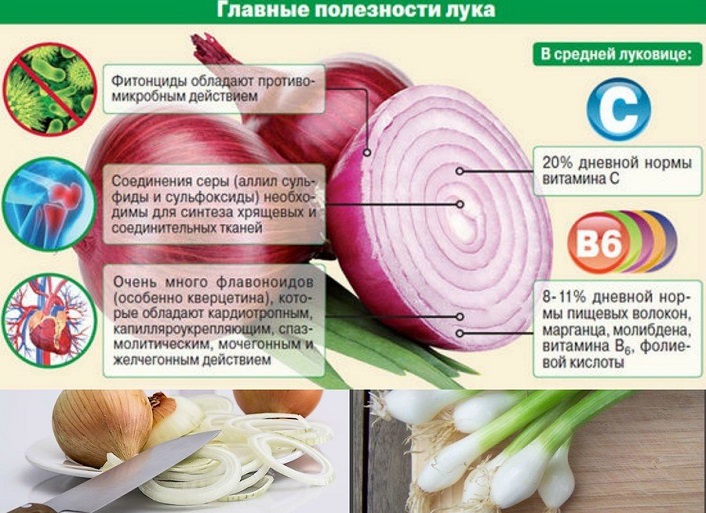 1485770438_3_Lyk_20.08.18_1_1