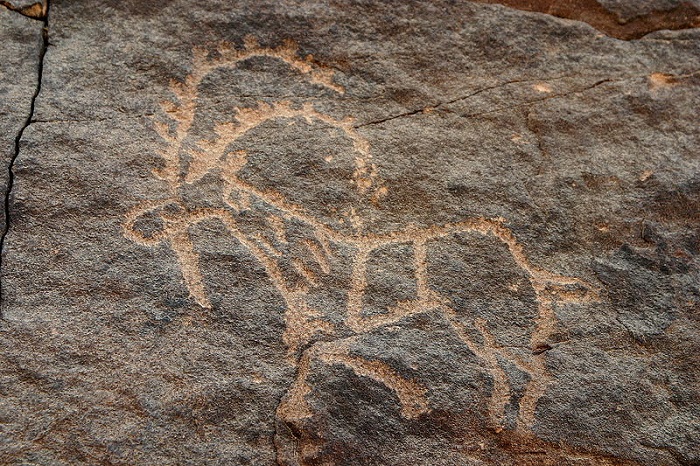 800px-Petroglyph_at_Bir_Hima_in_Saudi_Arabia_2