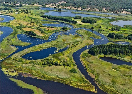 Dnipro-marshes