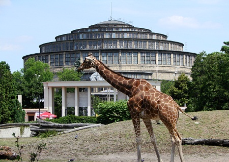 Wroclaw_zoo_and_centennial_Hall