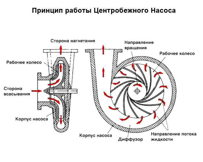 _princip