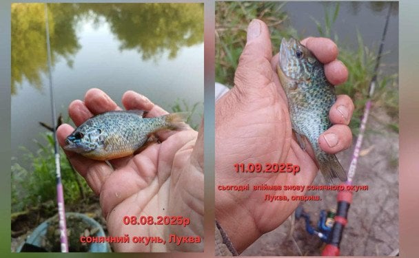 fc3e3fbe441b7c1c03e06ab69574a329_29.10.25_1